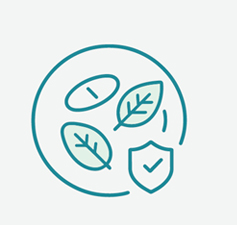 特殊膳食